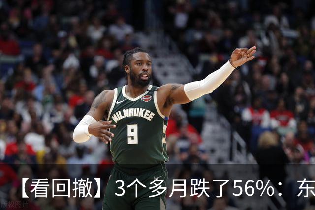 【看回撤】3个多月跌了56%：东方阿尔法基金百万持有人何去何从？