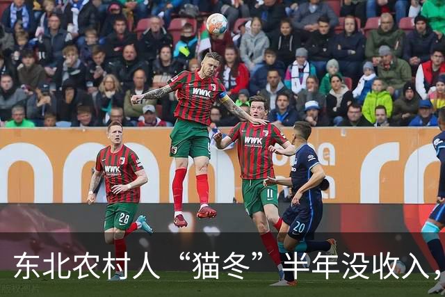 东北农村人“猫冬”半年没收入，一大家子人怎么撑下来的？