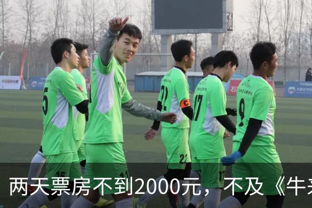 两天票房不到2000元，不及《牛来》一半，多位明星助力也没用，本月最惨电影诞生