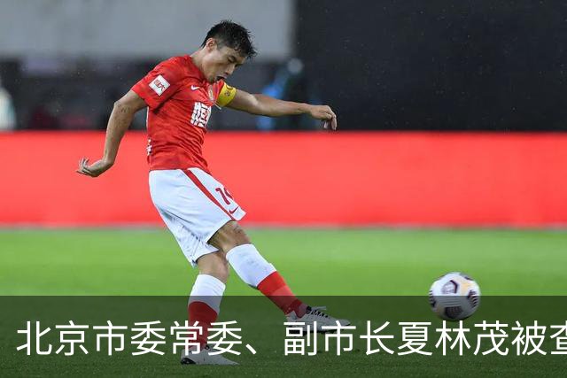 北京市委常委、副市长夏林茂被查
