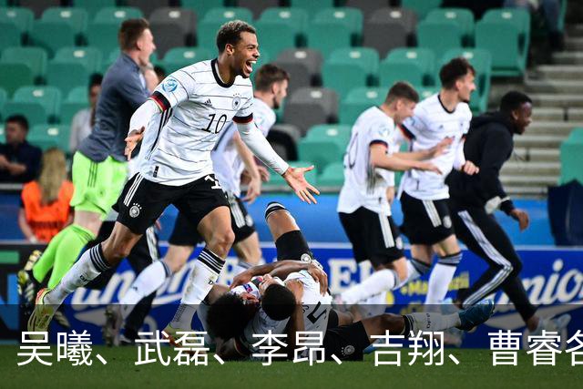 吴曦、武磊、李昂、吉翔、曹睿各持股20%，凑出江苏茉莉瑞博恩！