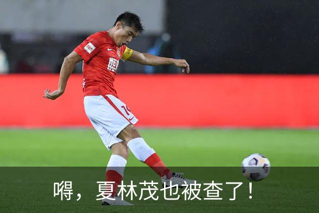 嘚，夏林茂也被查了！