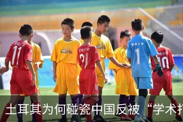 土耳其为何碰瓷中国反被“学术打脸”？