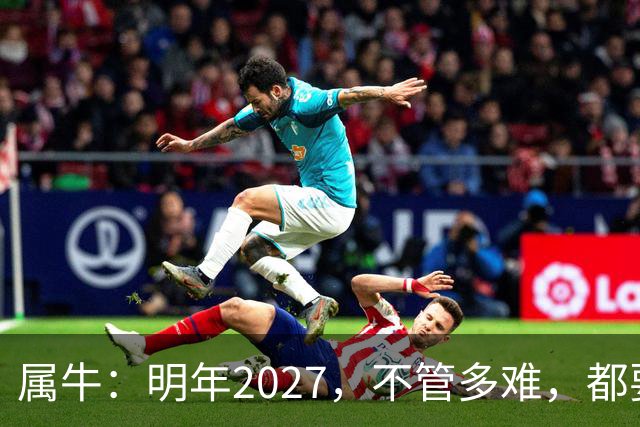 属牛：明年2027，不管多难，都要死死守住这五条
