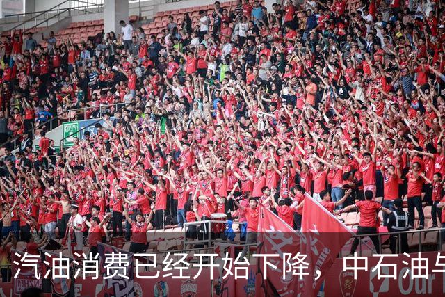 汽油消费已经开始下降，中石油与中石化为何还要大举扩建加油站？