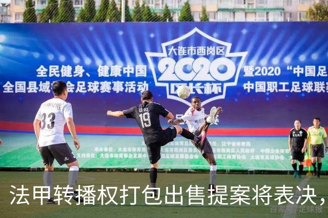 法甲转播权打包出售提案将表决，自营平台年入不足9000万欧