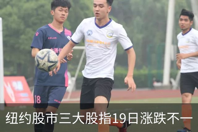 纽约股市三大股指19日涨跌不一