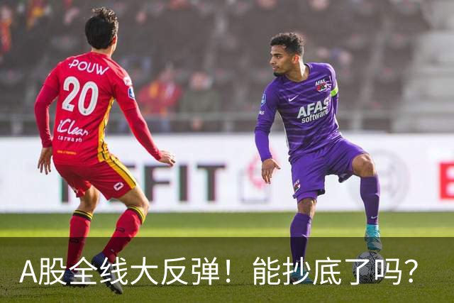 A股全线大反弹！能抄底了吗？